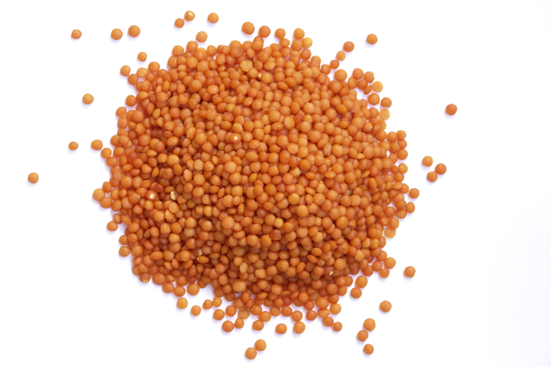 Red Lentils